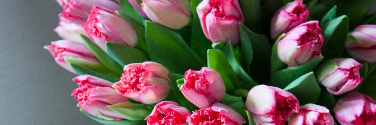 Привітання жінок зі святом!