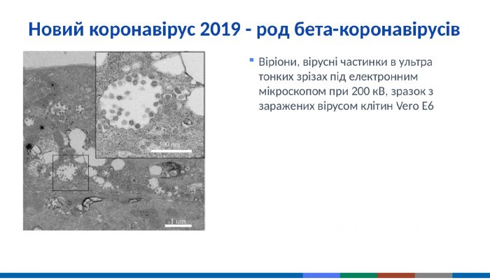 коронавірус 101_page-0019