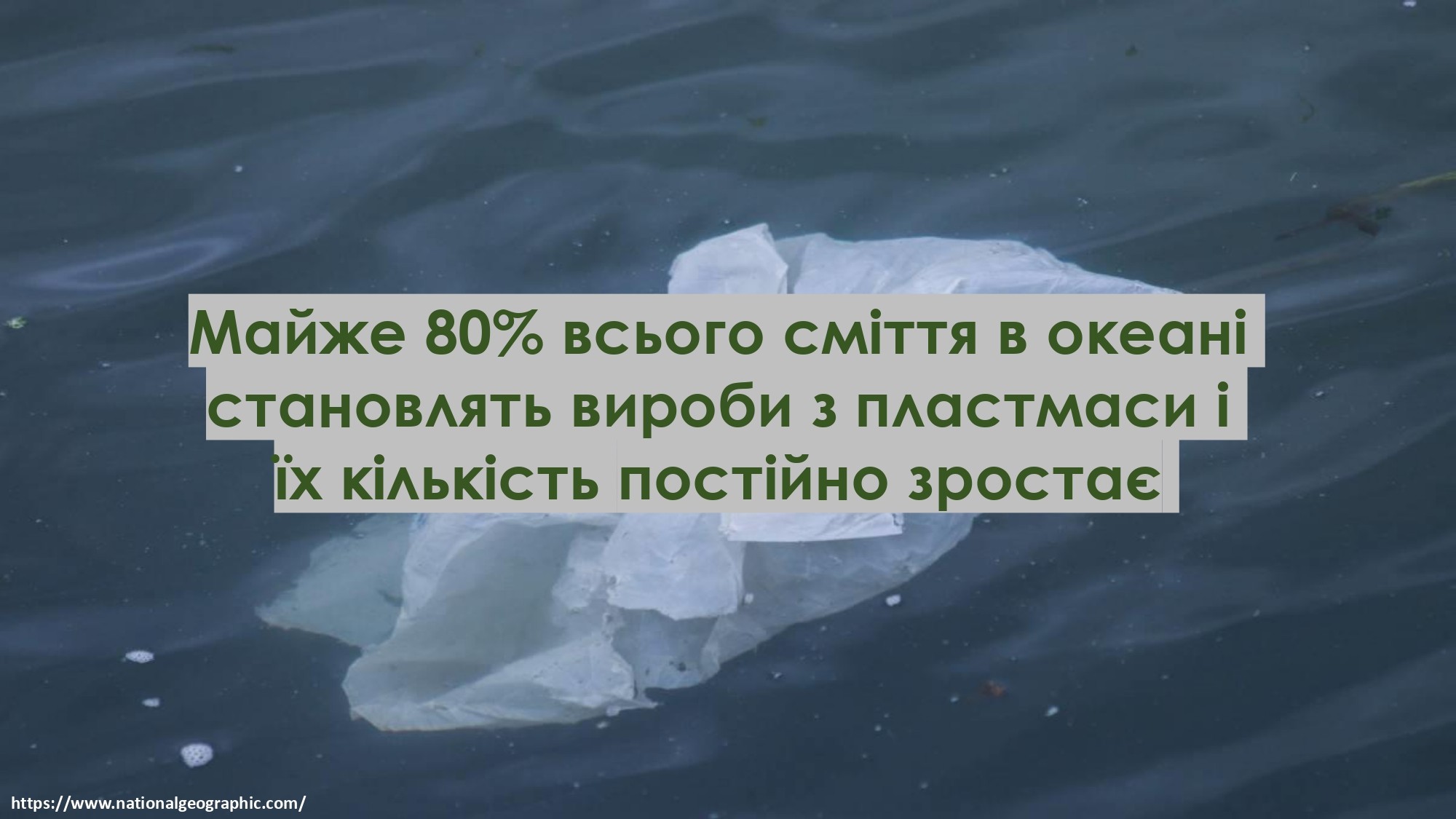 ЧОМУ НЕБЕЗПЕЧНИЙ ПОЛІЕТИЛЕН?