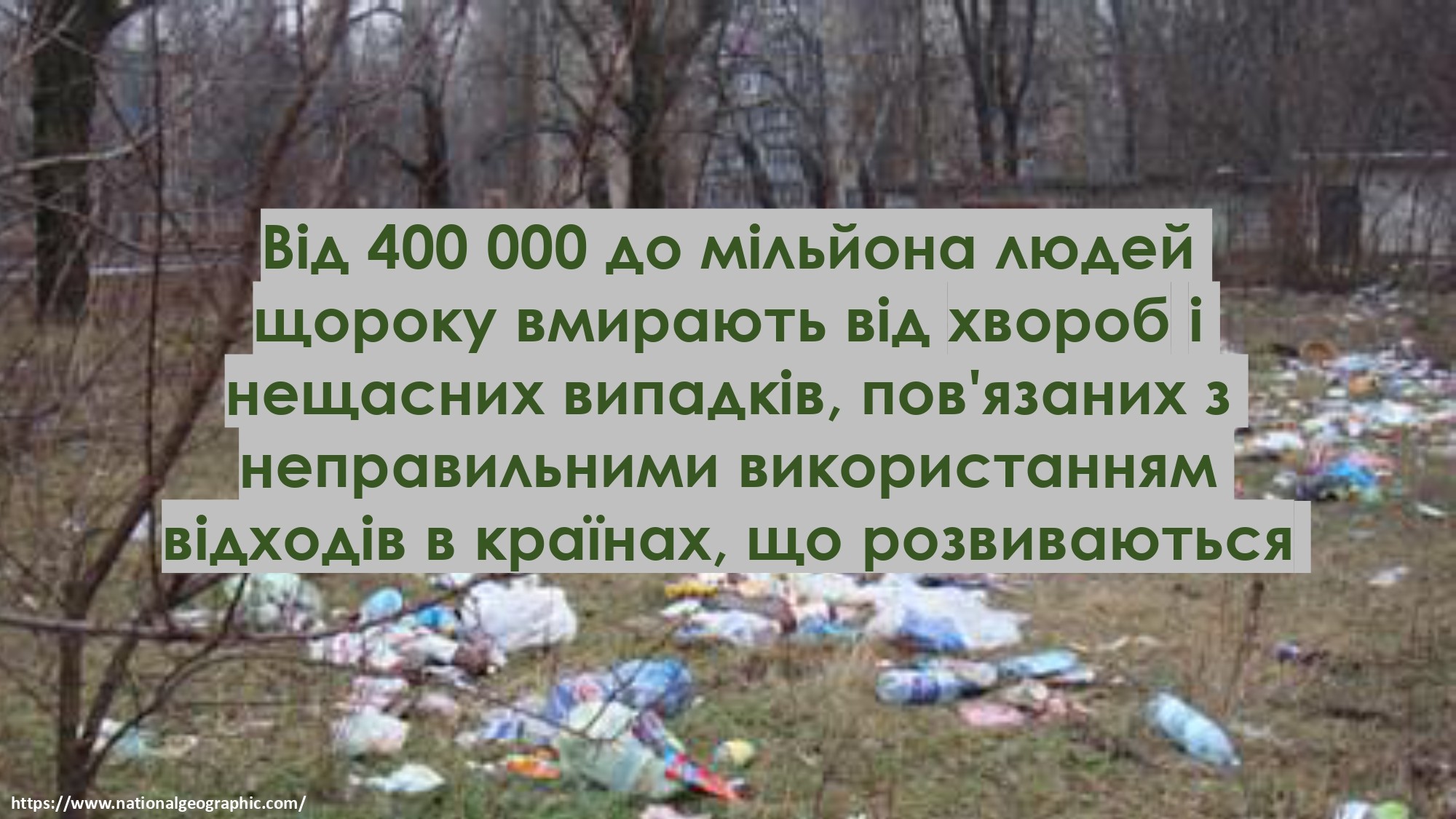 ЧОМУ НЕБЕЗПЕЧНИЙ ПОЛІЕТИЛЕН?